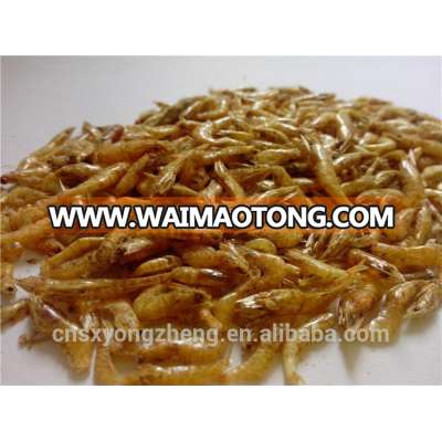 Dried /Canned Shrimps For Cat Food