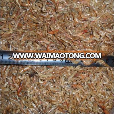 Fish Food Dired Shrimps