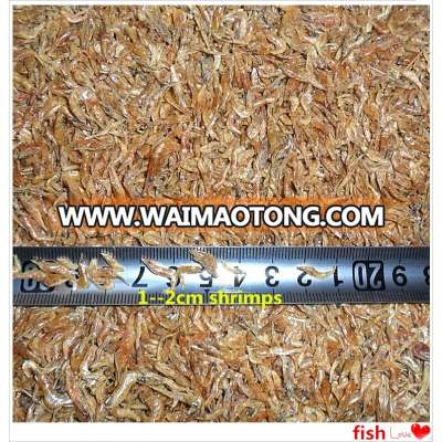 Dried Shrimps Big