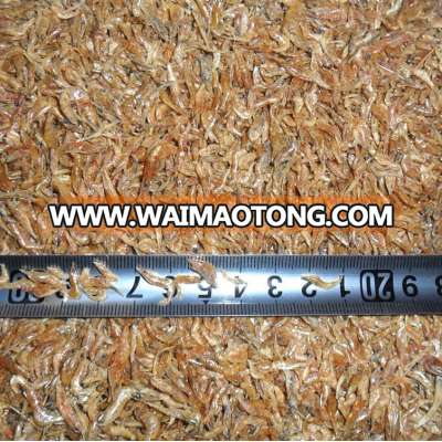 Dried Small Shrimps On Sale