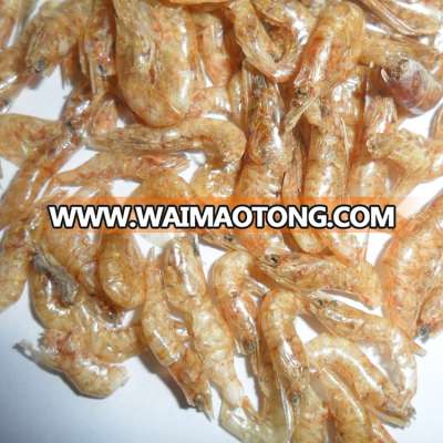 Factory Price Dried Shrimps For Fish Food ; Dried Shrimps