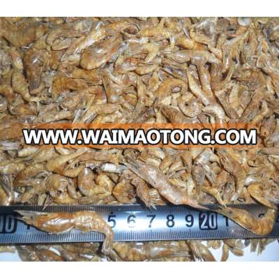 freshwater shrimp aquarium wholesale Exported to Worldwide