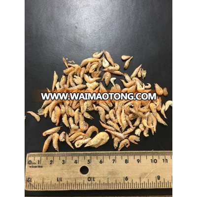 Dried shrimp 1-2cm dry animal food