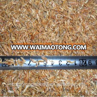 1-2cm Dried Shrimps For Fish Meal