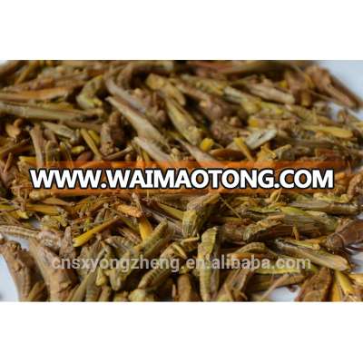 Freeze Dried locusts For Wild Bird & Pet Fish Food