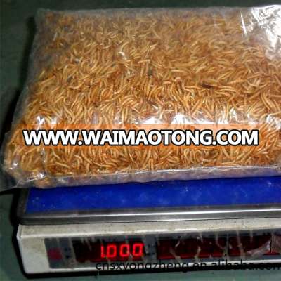 2.5---2.8cm dried Mealworm for Pet (cat ,dog and chicken) food